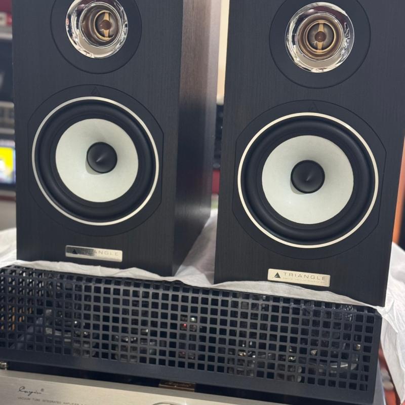 Triangle(트라이앵글) Titus EZ 스피커